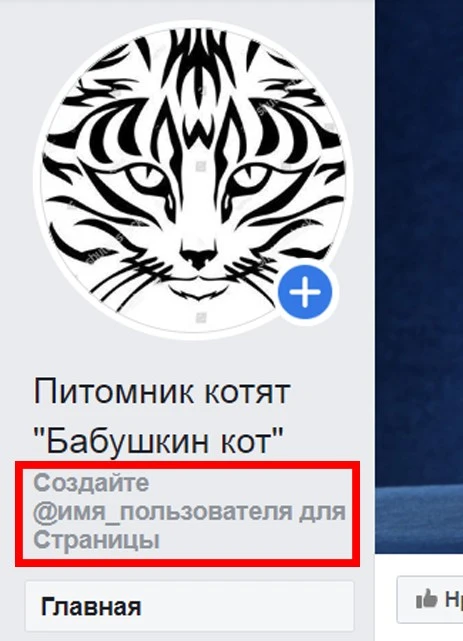 Корпоративный Фейсбук для чайников. Урок 1