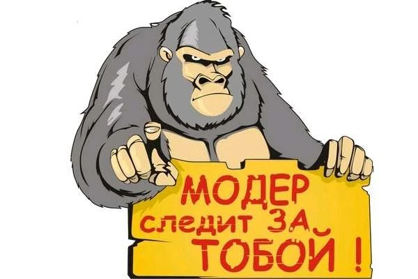 Интервью с модератором тизерных сетей: как живет человек, рассматривающий 1000 половых органов ежедневно