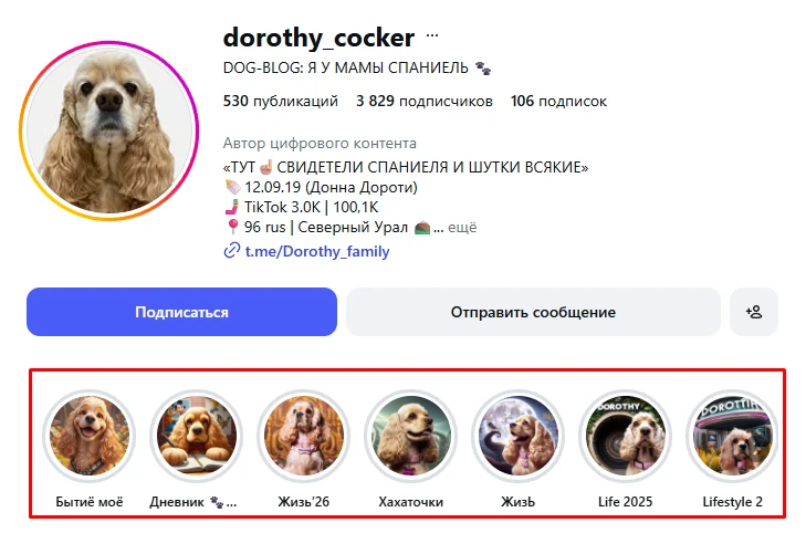 Гайд: как продвигаться в Инстаграм через «сториз»