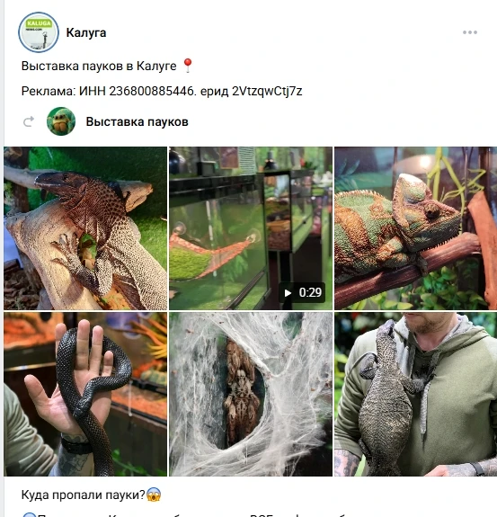 Легкий арбитраж на пабликах ВК
