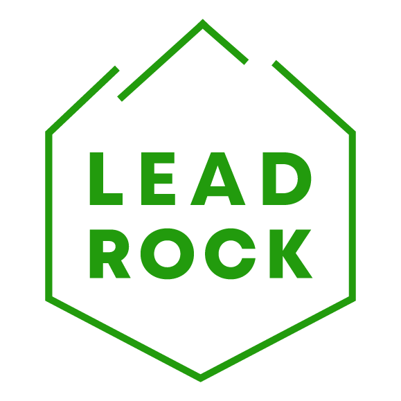 Как лить трафик на партнерскую программу LeadRock — обзор и отзывы о партнерке