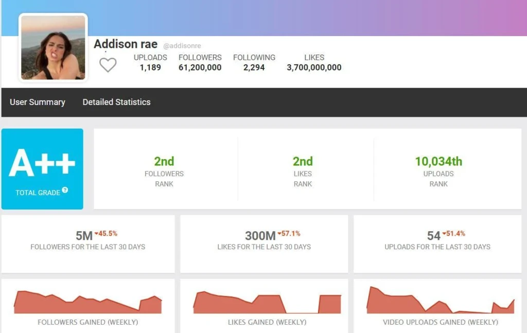 SocialBlade для TikTok
