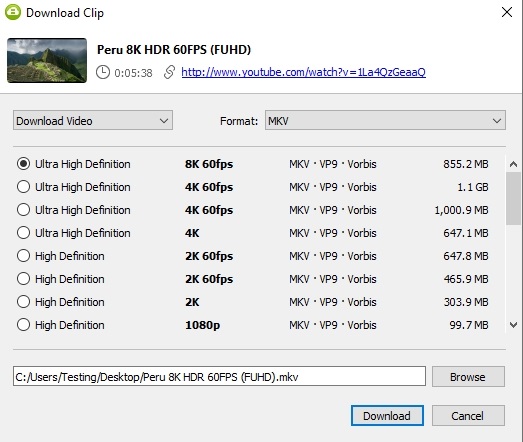 Выбор форматов в 4K Video Downloader