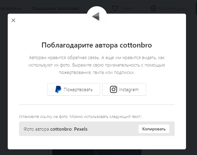 Благодарность автору