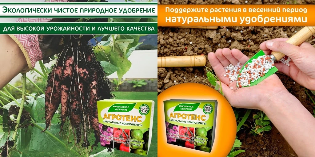 Арбитраж трафика: лучшие кейсы весны 2021