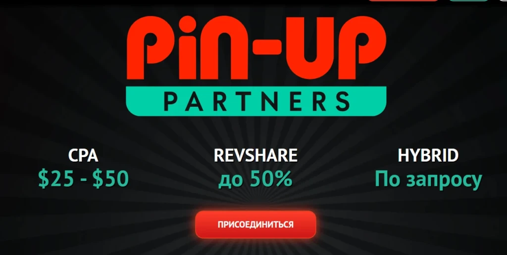 pin-up partners