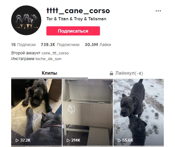 животные