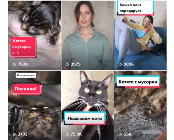 котята с мусорки