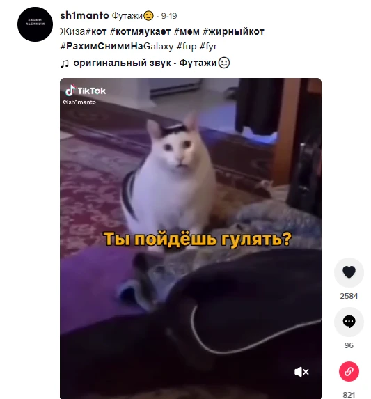 челленджи. тренды