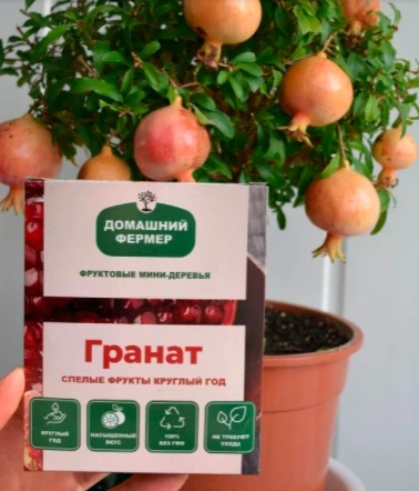 На что лить в начале 2022-го? Начинаем год с правильных офферов