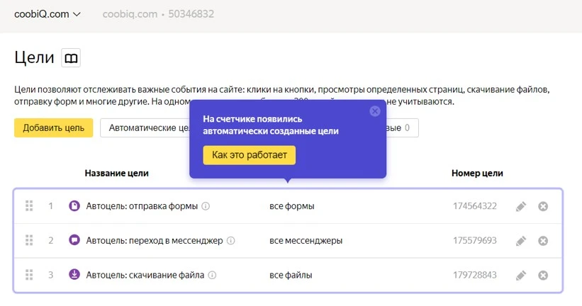 Метрика цели