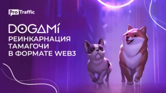 DOGAMI — как заработать на NFT-собаках