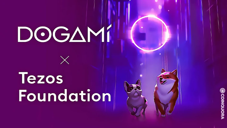 DOGAMI — как заработать на NFT-собаках