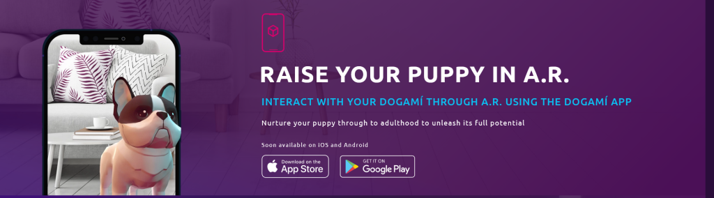 DOGAMI — как заработать на NFT-собаках