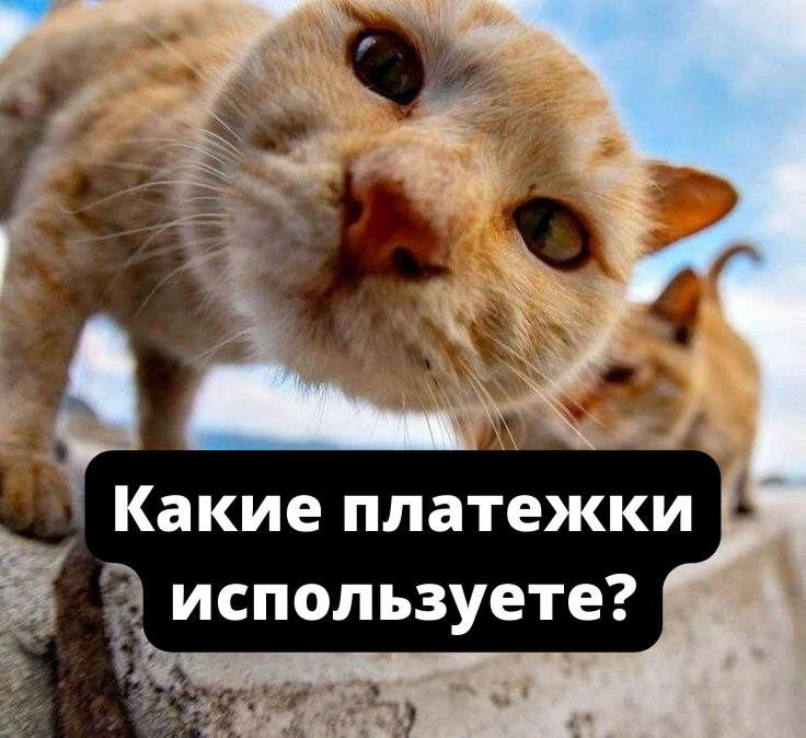 6 нетривиальных платежек для арбитража