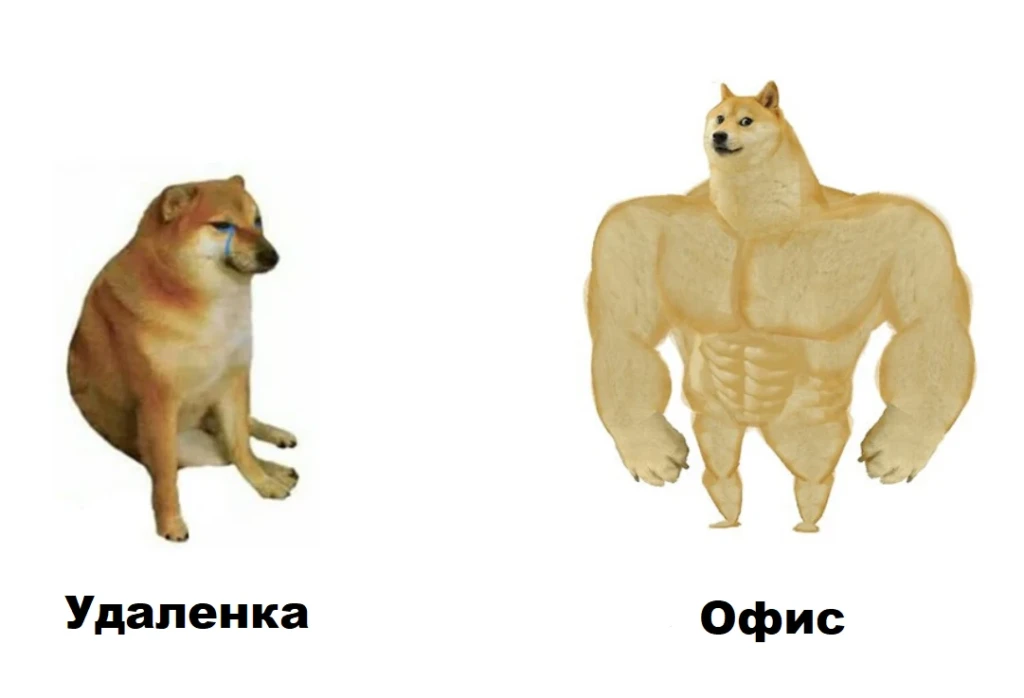 Берлин, бурж-конфы, уход из финансов в гемблу: о жизни и работе менеджеров 1win Partners