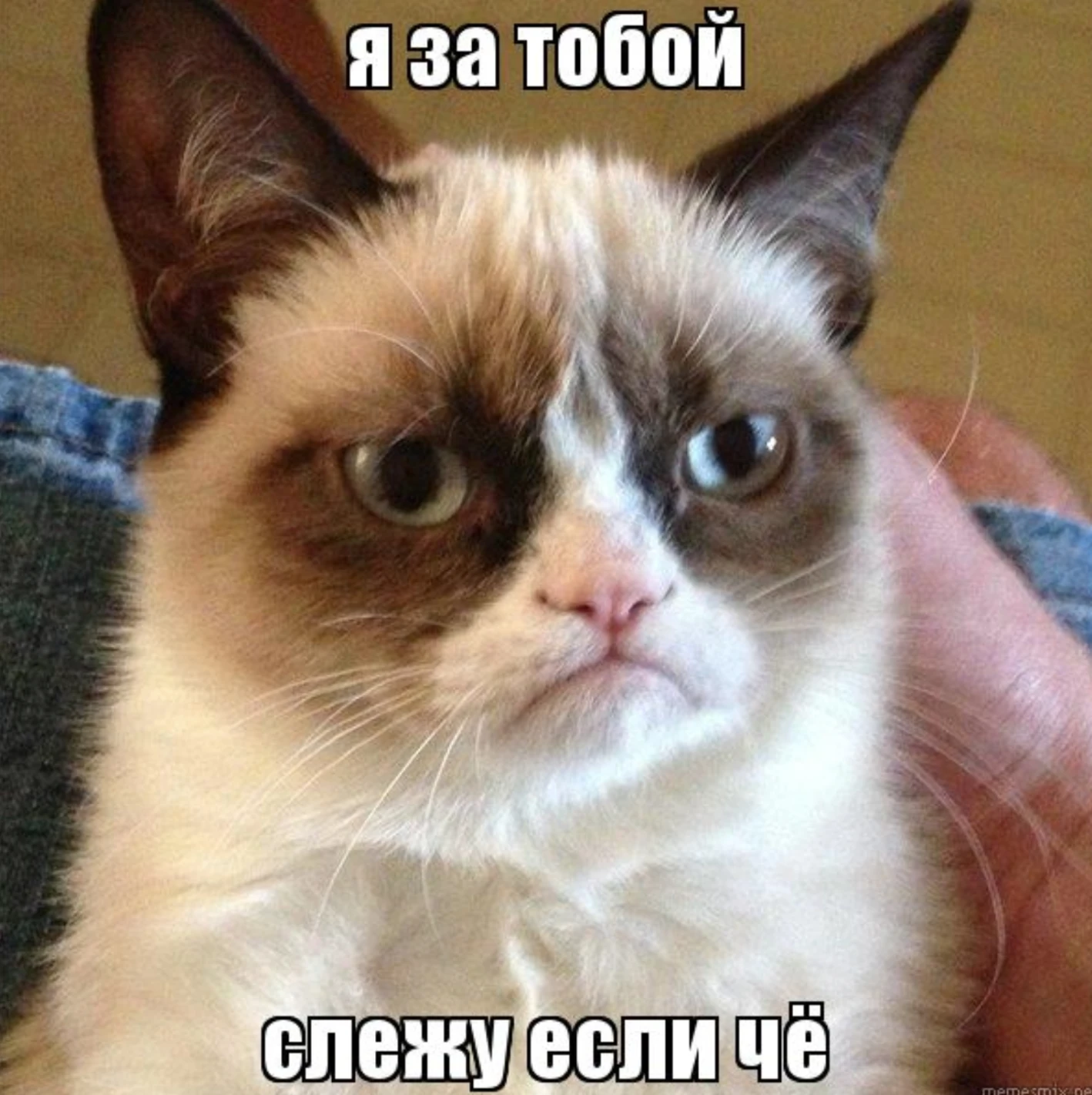 Создать ПП: сколько стоит и кого нанять. Когда деньги не проблема