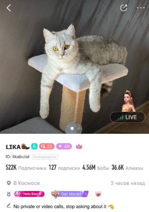 Bigo Live — зарабатываем на квартиру с помощью стримов