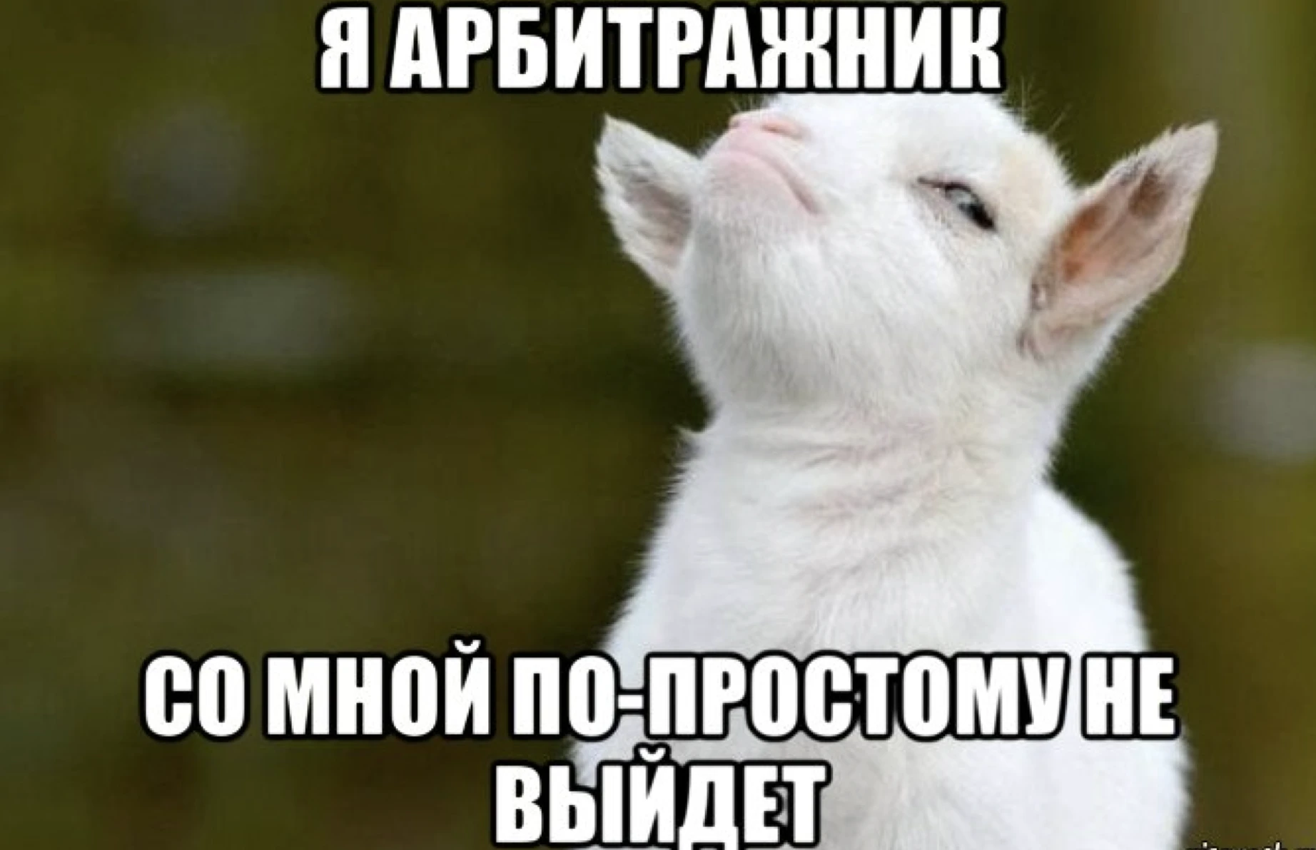 Контент-маркетинг для партнерок: как получить репутацию, вебов, профит и работать в плюс