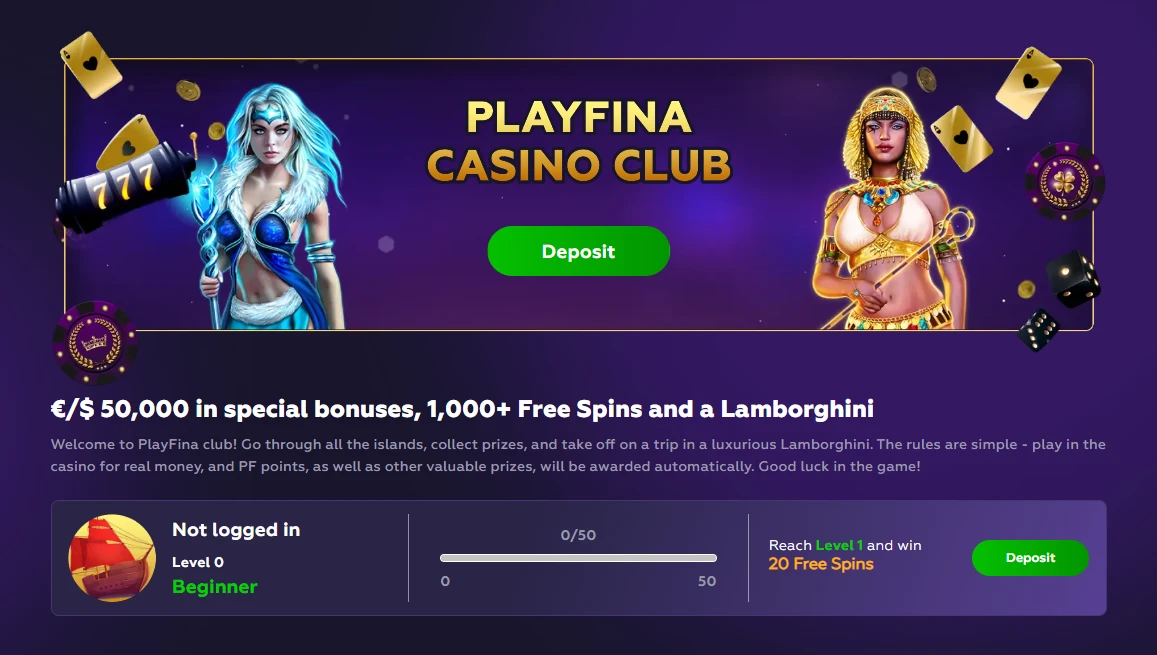 Playfina Partners