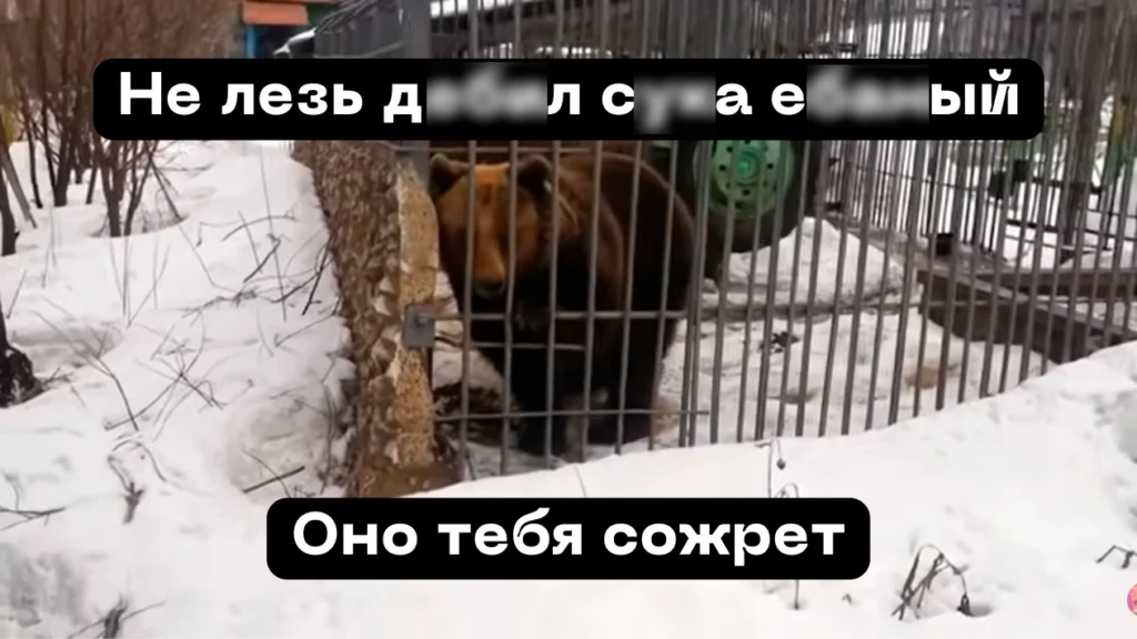 «Я фродил, чтобы собрать оборотку»: исповедь бывшего фродера