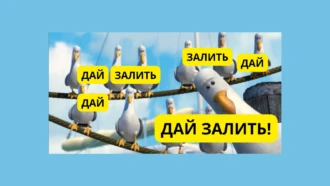 95% пополняют баланс повторно, такого простого входа в арбитраж для новичков еще не было — интервью с сотрудником рекламной сети