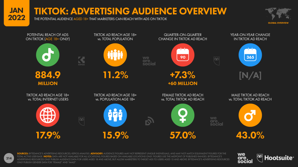 TT Advertising audience overview