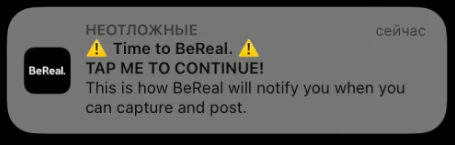 BeReal: что это за приложение и возможно ли там сейчас зарабатывать