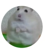 Юрий