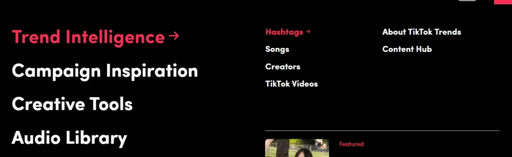 4 spy-сервиса для TikTok: какой выбрать?