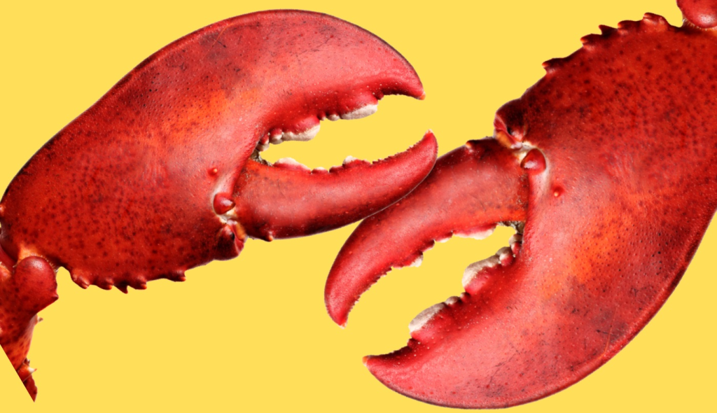 Когда партнерка лучше рекла: Lobsters о заработке на офферах Тинькофф