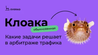 Клоака: какие задачи решает в арбитраже трафика