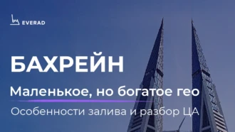 Бахрейн: глобальный разбор и анализ ЦА