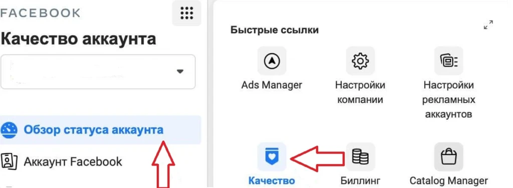 обзор статуса аккаунта