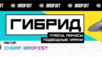 Гибрид: плюсы, минусы, подводные камни