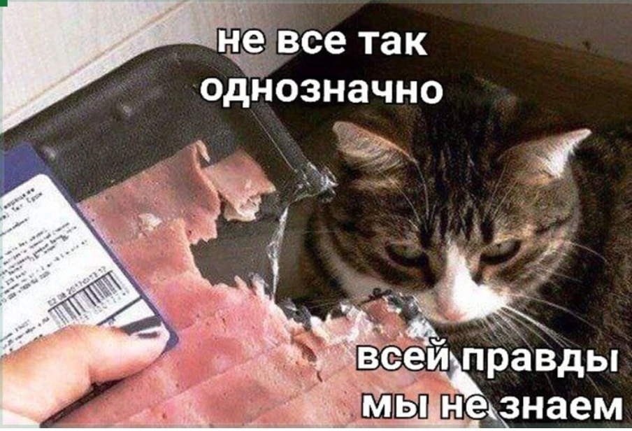«Одна я умная, в белом пальто стою красивая»: как сотрудник партнерки M1 обманывал всех