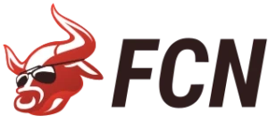 Логотип Fincpanetwork