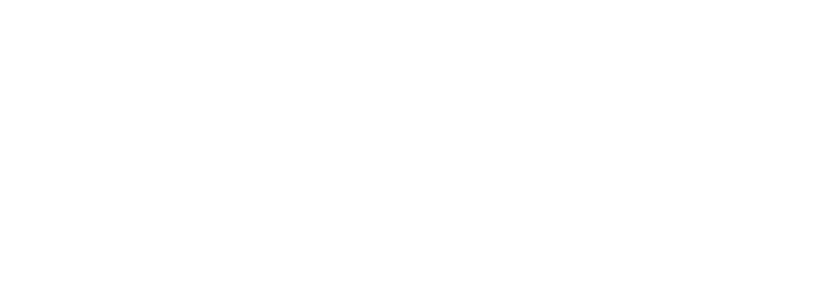 Промо лого