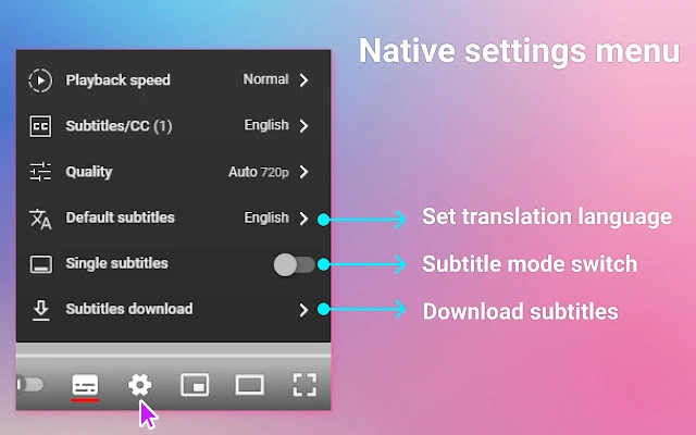 Dual Subtitles