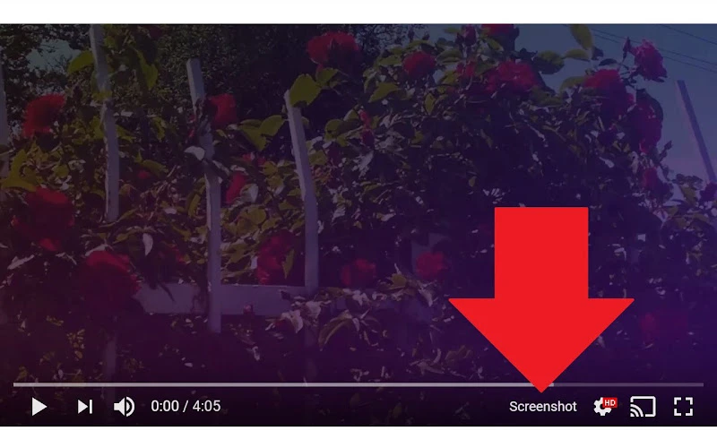Screenshot YouTube