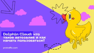 Dolphin Cloud: что такое автозалив и как начать пользоваться?