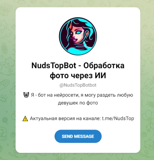 NudsTopBot