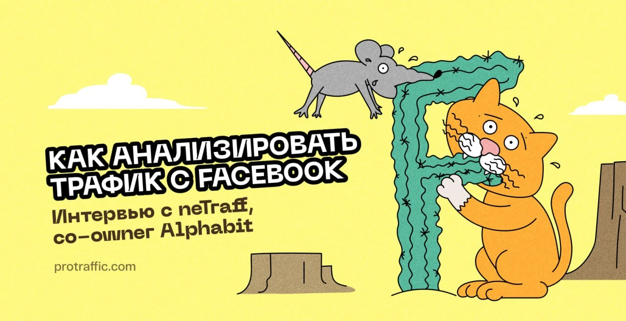 Как анализировать трафик c Facebook, — neTraff co-owner Alphabit
