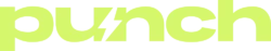 Логотип PNCH.NAME