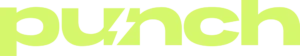 Логотип PNCH.NAME