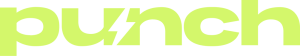 Логотип PNCH.NAME