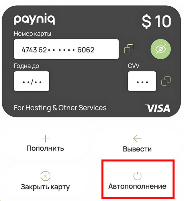Payniq
