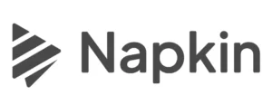 Логотип Napkin AI