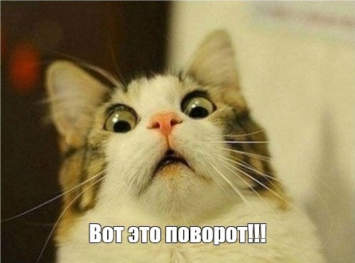 Какое название выбрать для YouTube-канала: 560 креативных примеров для разных ниш