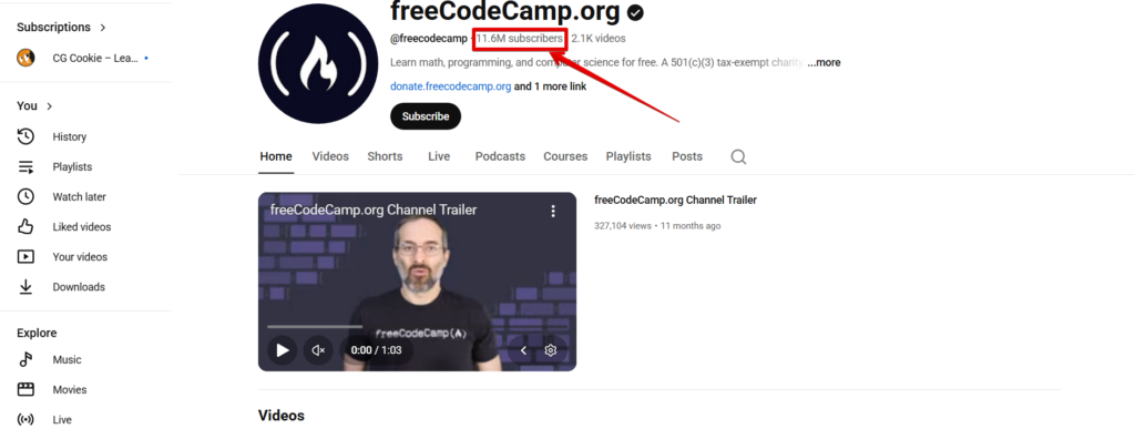 Какое название выбрать для YouTube-канала: 560 креативных примеров для разных ниш